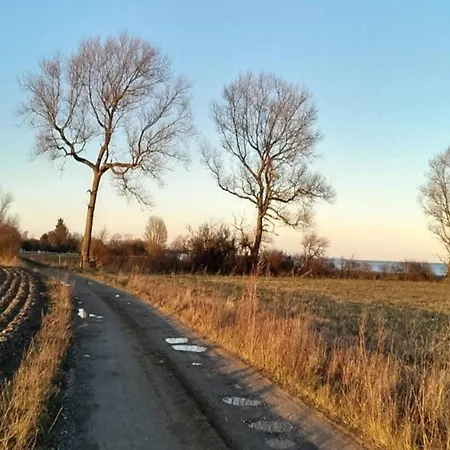 Dom wakacyjny 5 Person In Vaeggerlose-by Traum *